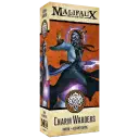 Charm Warders box art